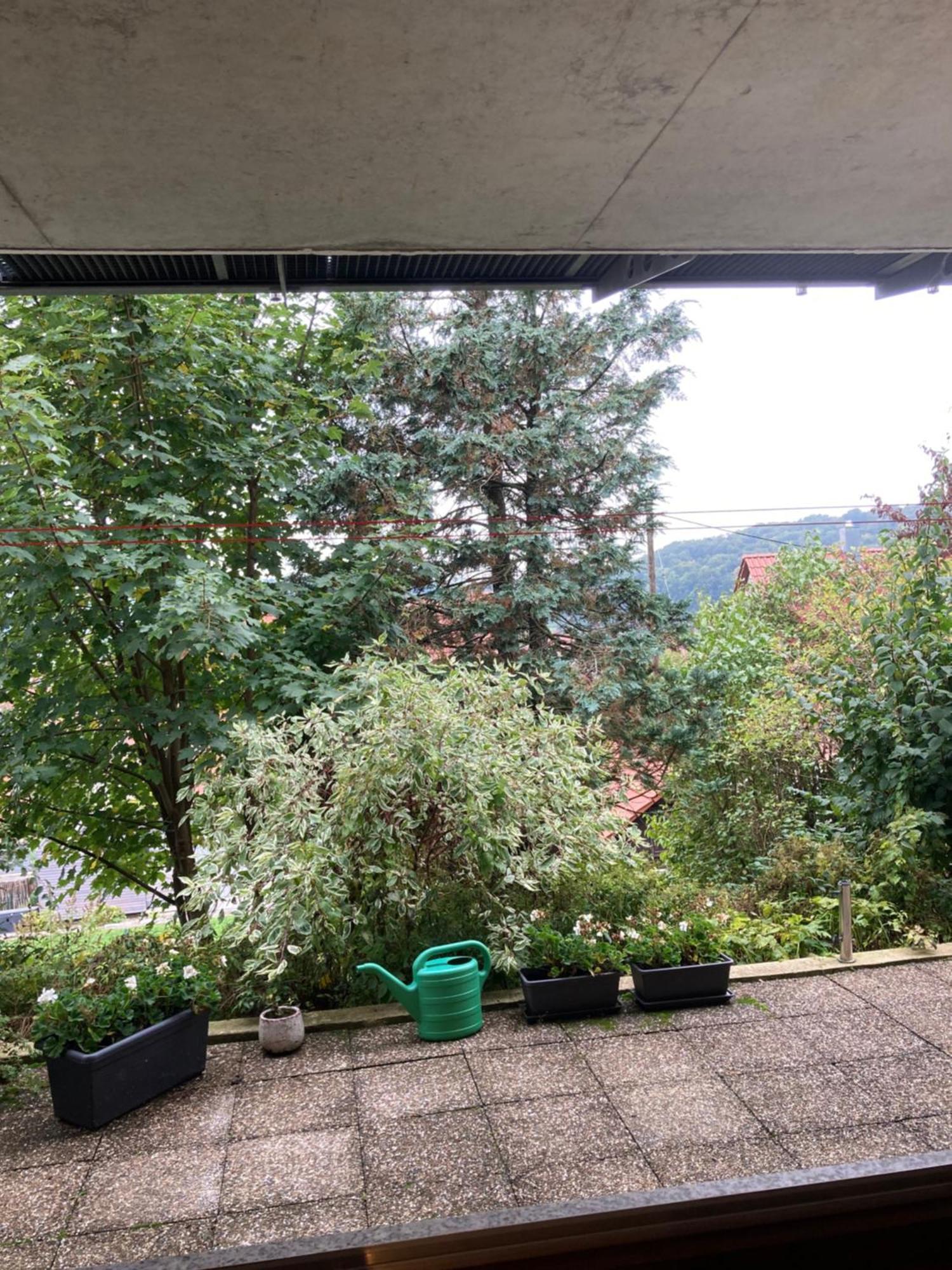 Lichtdurchflutete Ferienwohnung Sankt Johann  Екстер'єр фото
